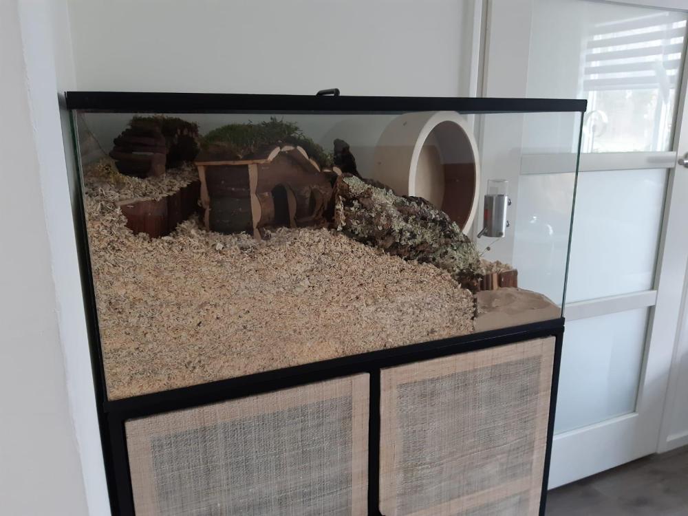 Budget hamster terrarium 80x40x4