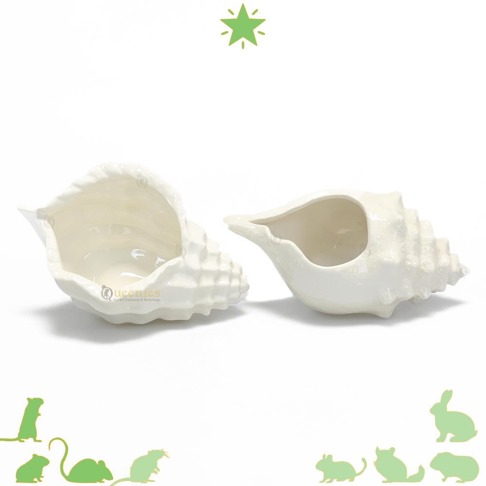 Hamster schelp Badzandhuisje - Schelp voor Zomer Scape, Huisje of Badzandschaal