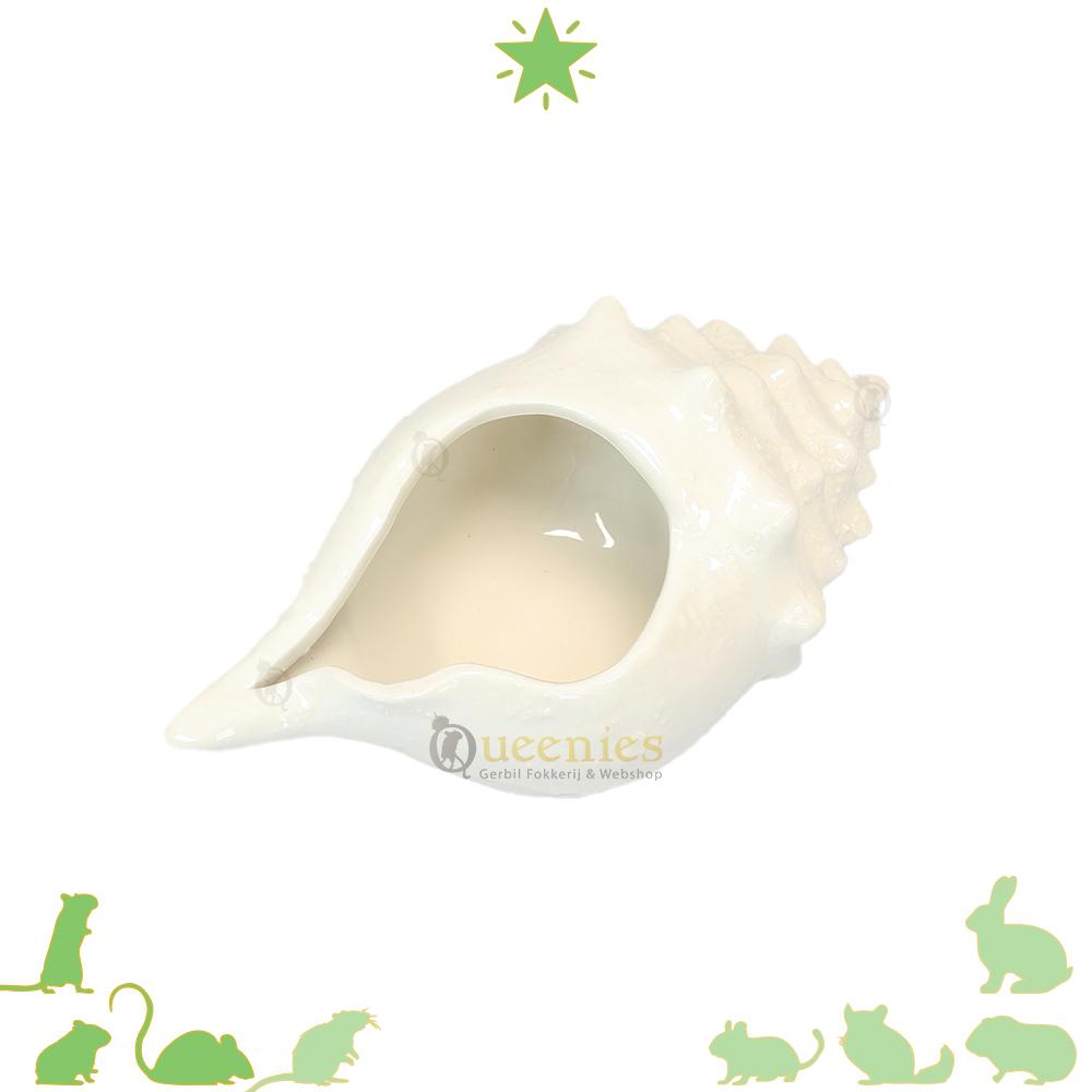 Schelp voor Zomer hamsterscape