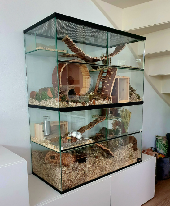 Opzetstuk met schuifruiten en plateaus