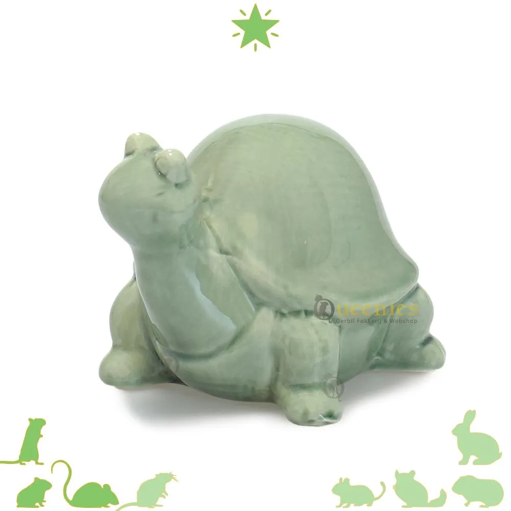 Edelsteen schildpad kopen? - Happy Spirit