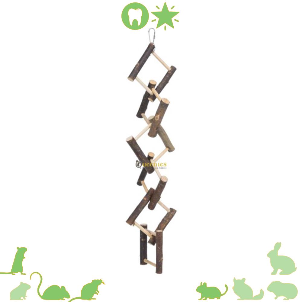 Schots en Scheef ladder voor knaagdieren