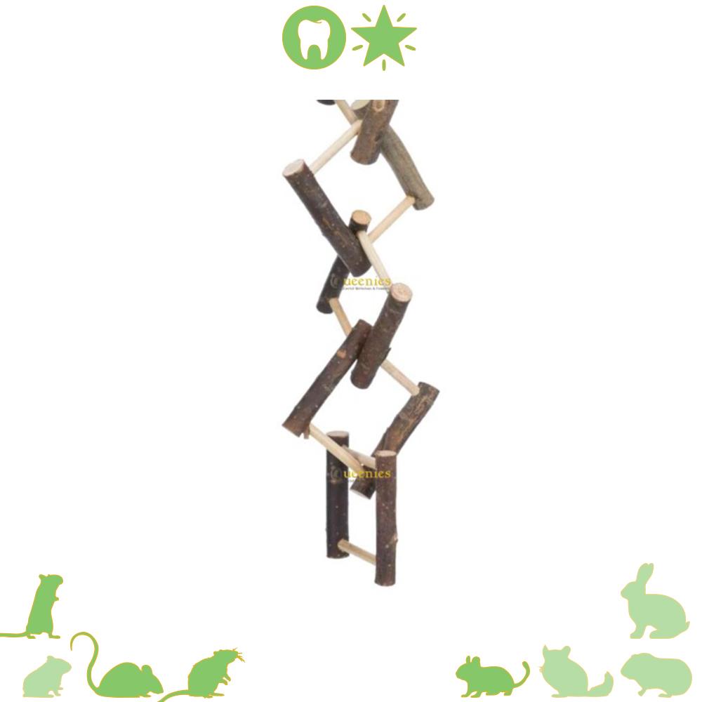 Schots en Scheef ladder voor Gerbils