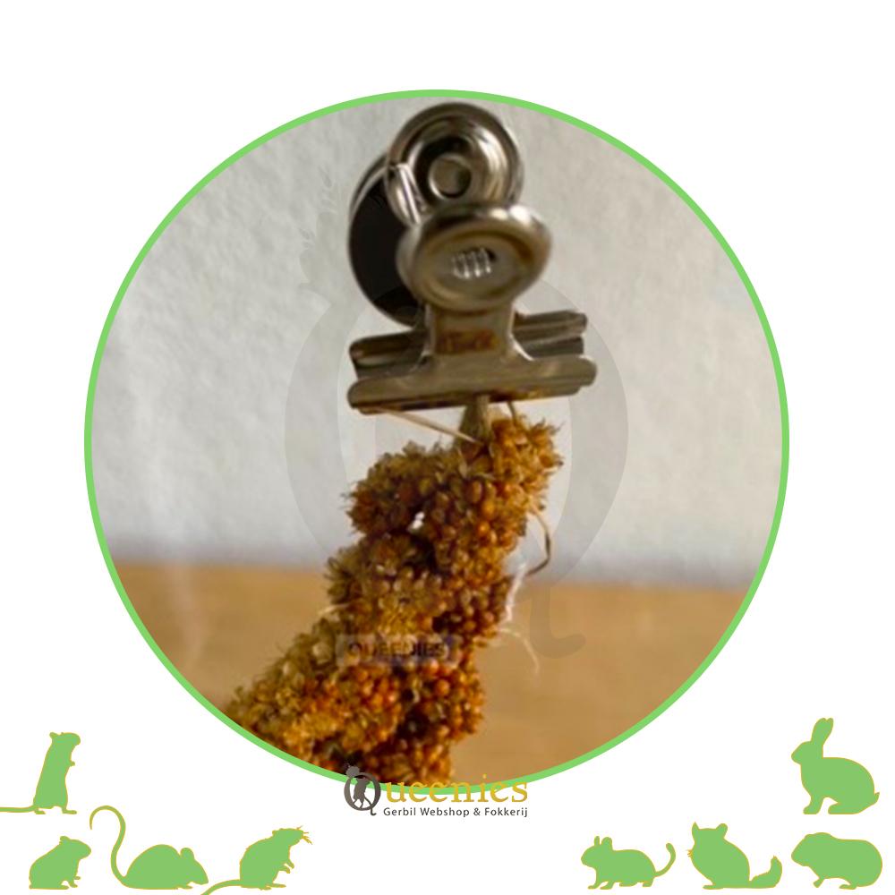 Setje extra magneten ( verschillende sterktes )