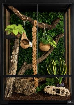 Referentie foto tevreden klant 60x45x90 Paludarium