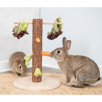 Snackhouder voor konijnen snacks