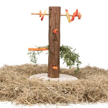 Konijnen snack boom schorshout