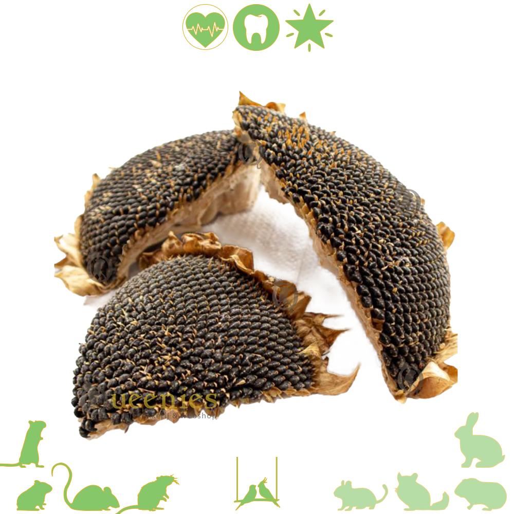 Zonnebloemhart voor Knaagdieren en Konijnen