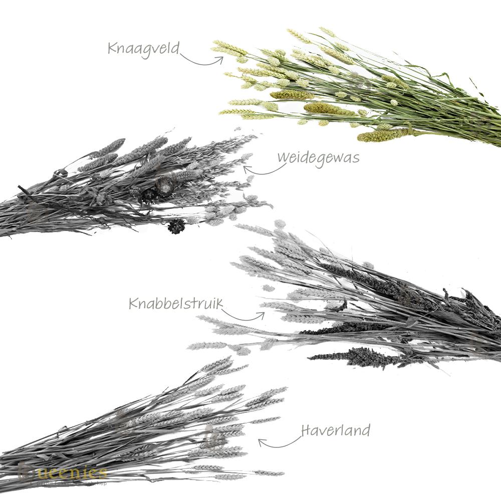Bouquet Knaagveld, gedroogde kruiden voor hamster