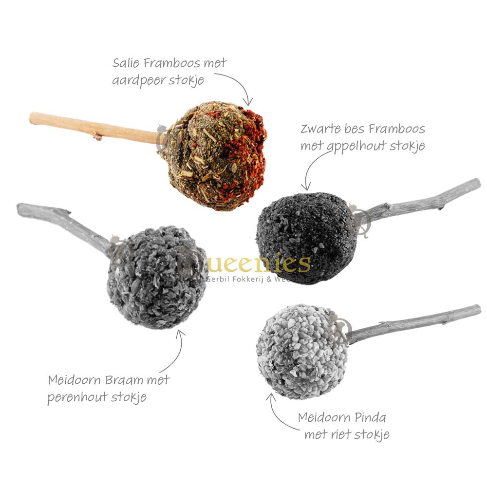 Framboos lolly voor Hamster