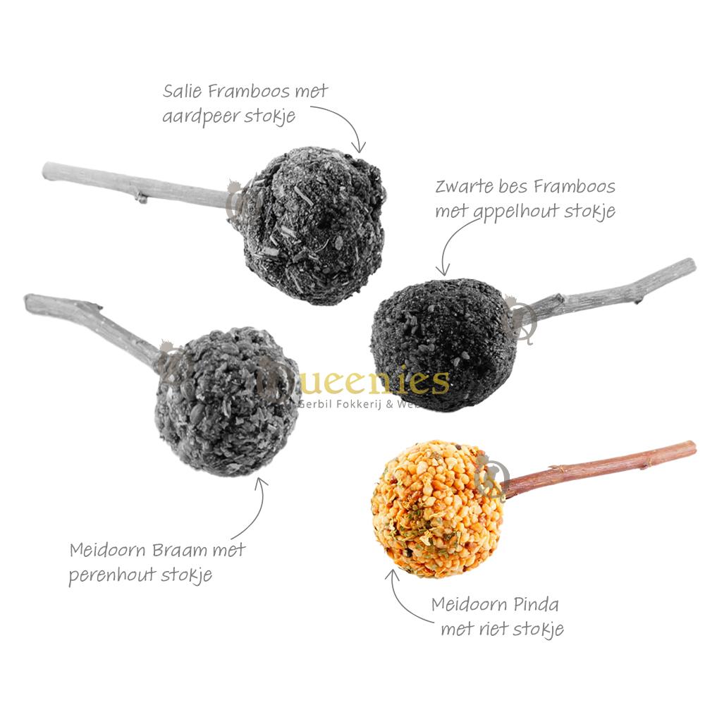 Pinda lolly traktatie voor Gerbil