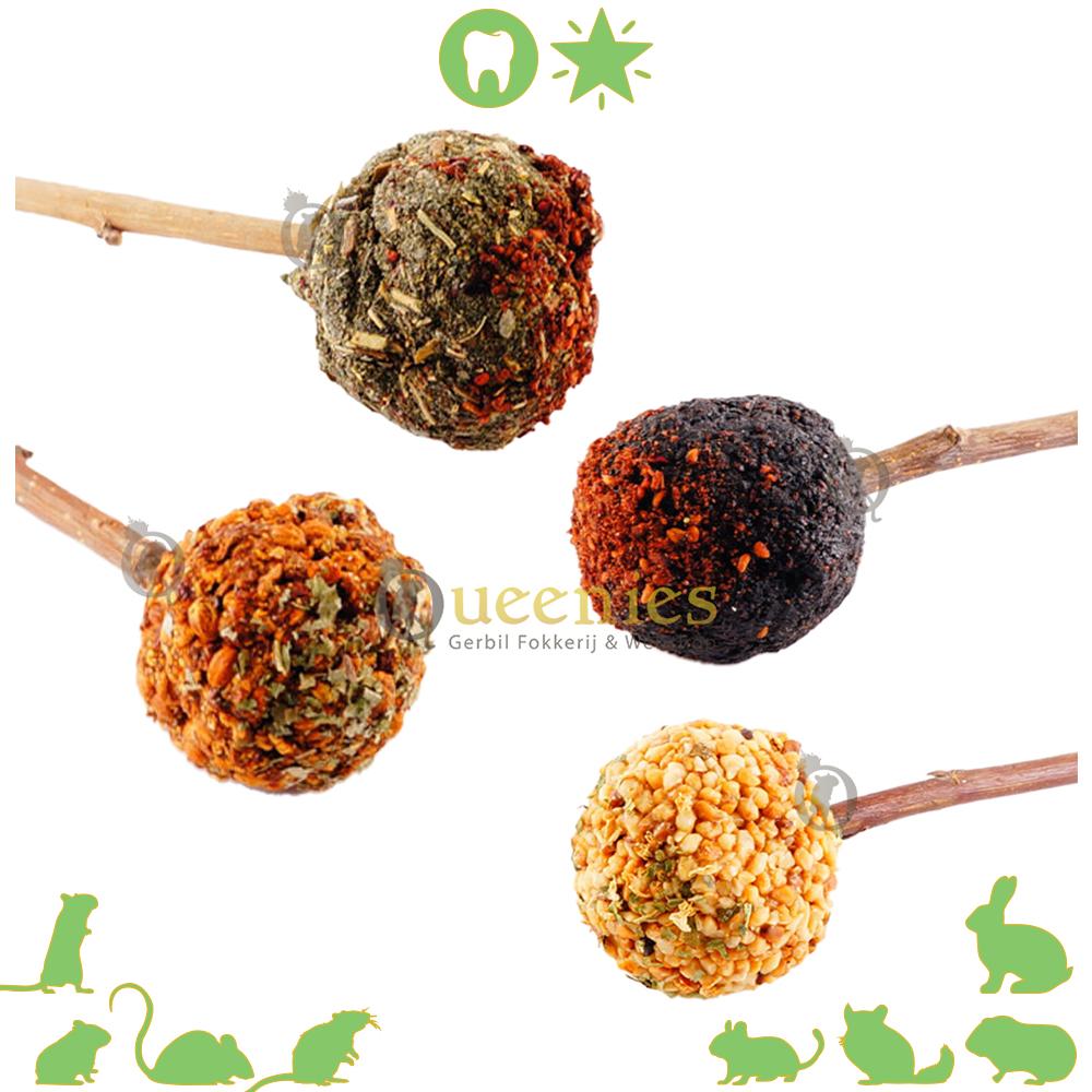 Lolly voor Knaagdieren gezonde traktatie