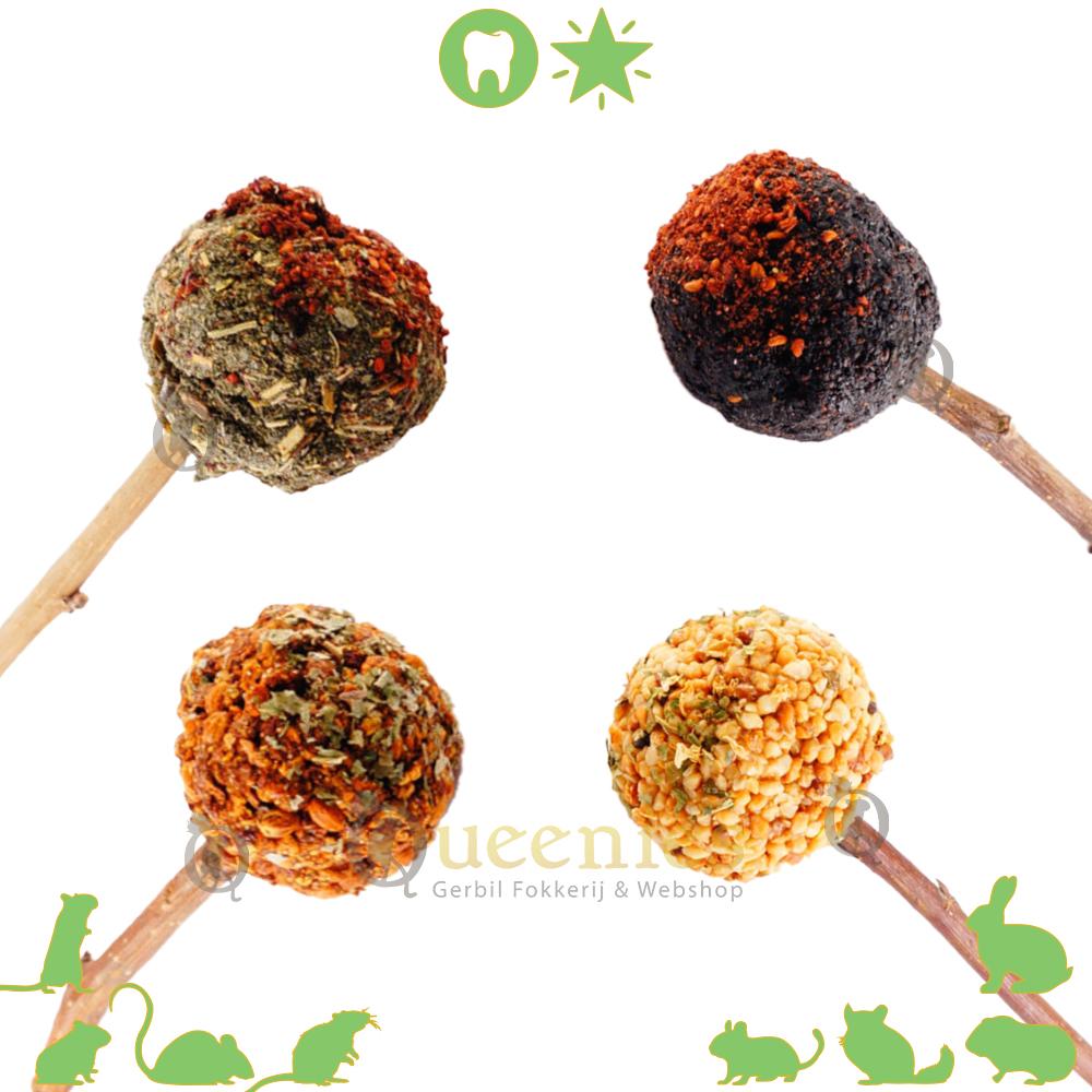 Lolly voor Knaagdieren