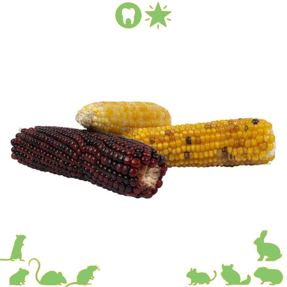 Mini Maiskolfjes voor knaagdieren