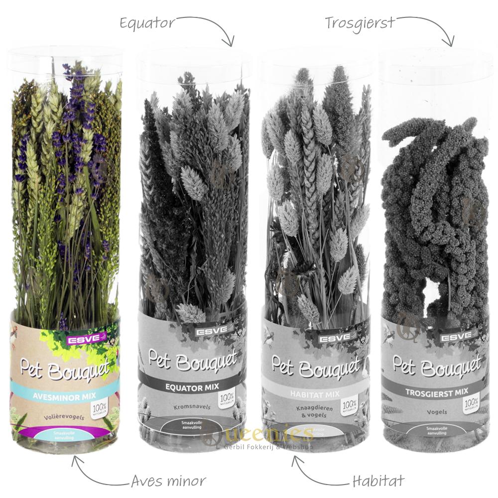 Pet Bouquet Koker Aves Minor voor Knaagdieren, Vogels en Konijnen