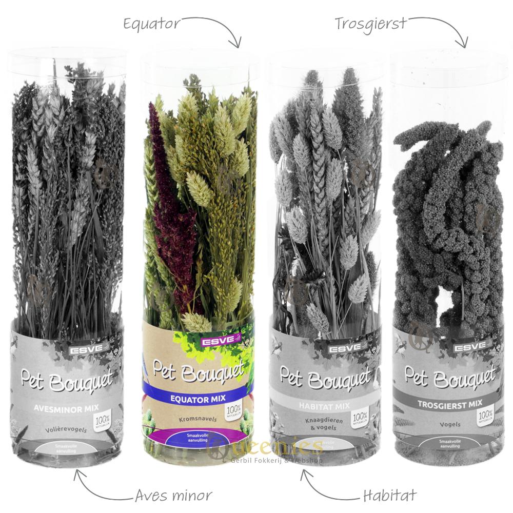 Pet Bouquet Koker Equator voor Knaagdieren, Vogels en Konijnen