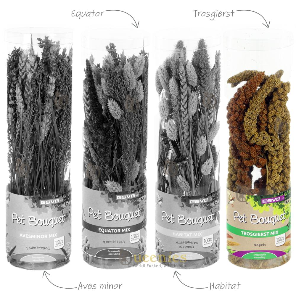 Pet Bouquet Koker Trosgierst voor Knaagdieren, Vogels en Konijnen