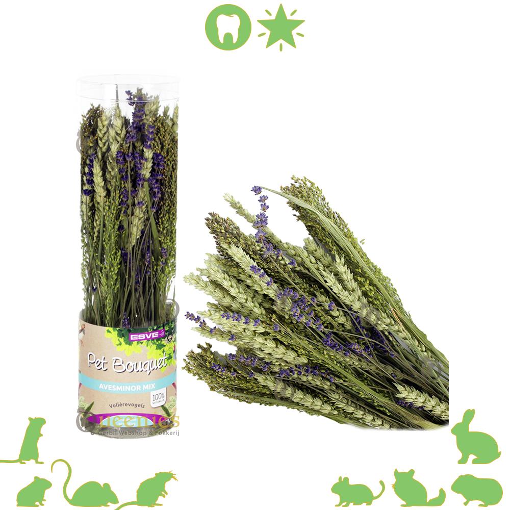 Pet Bouquet Koker Aves Minor voor Gerbils