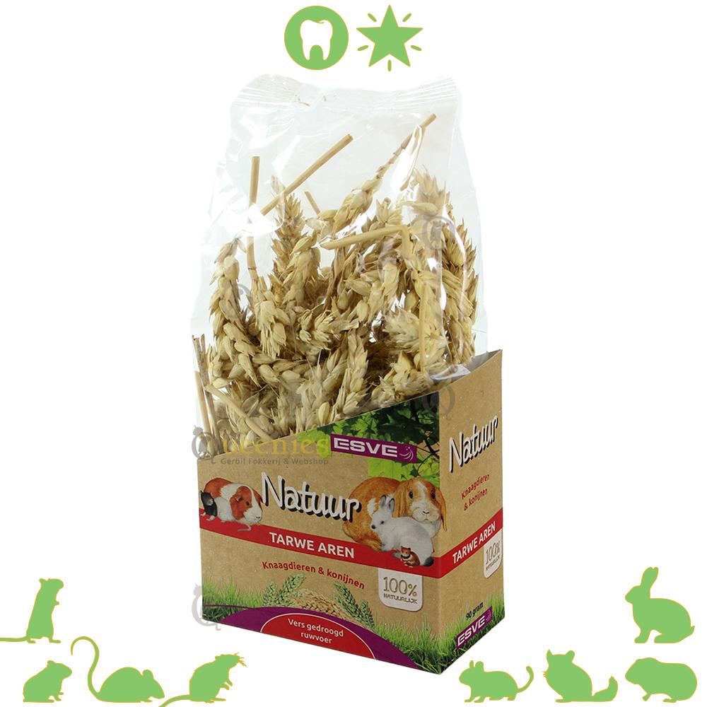 Gezonde Gerbil snack en bezigheid