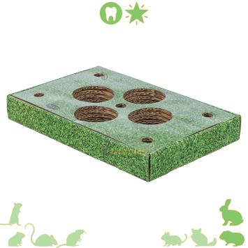 groenteschaal knaagdier