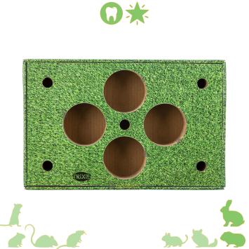 snacks geven aan cavia