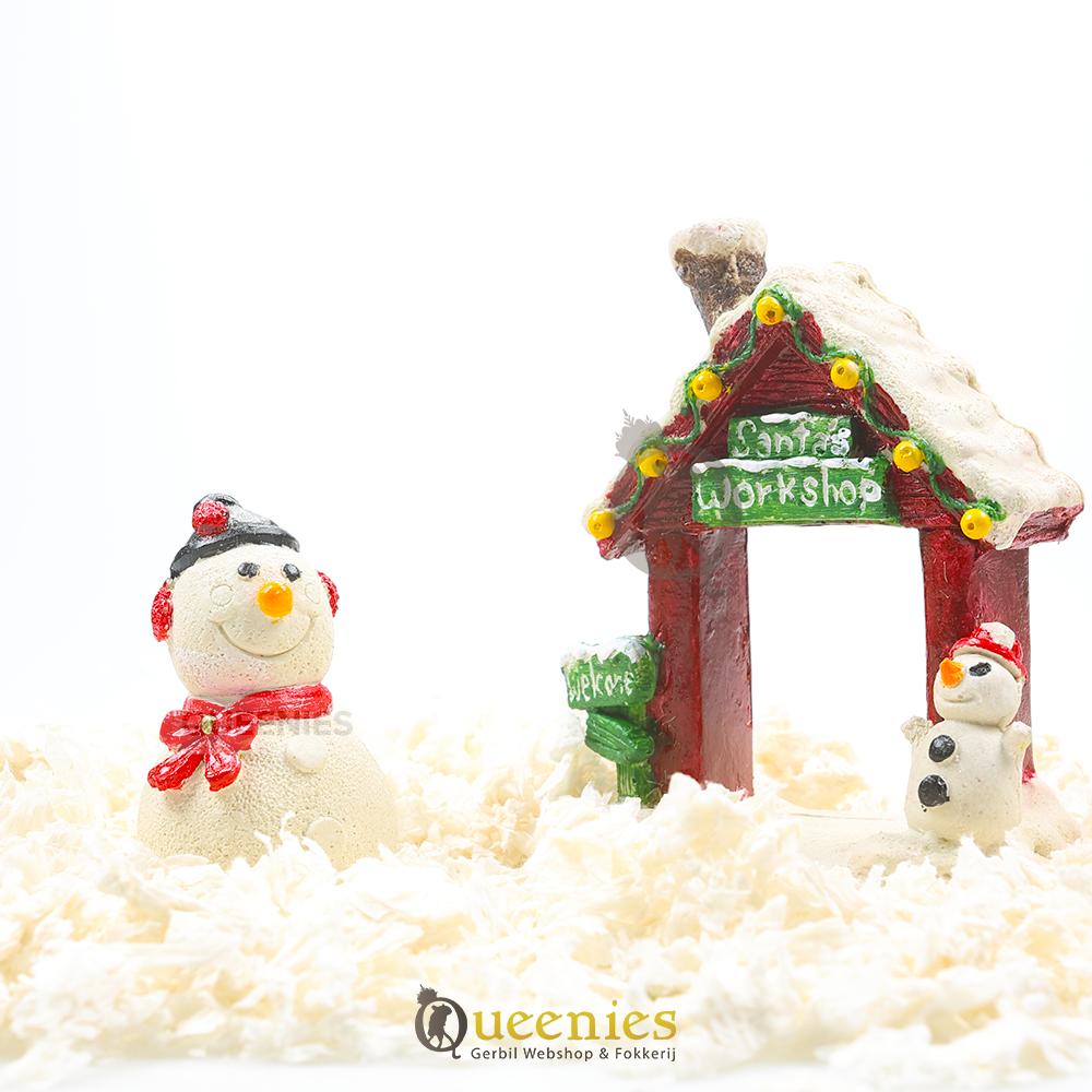 Winterscape voor Dwerghamter