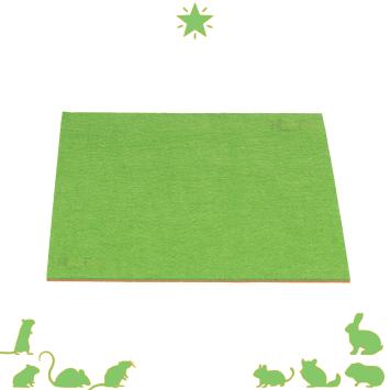 Omkeerbare terrarium mat met groene en oranje zijde