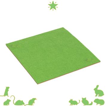 Soft matras 20 x 20 cm - Tropische Woestijnmat - Dubbelzijdig Soft matras voor Terrarium