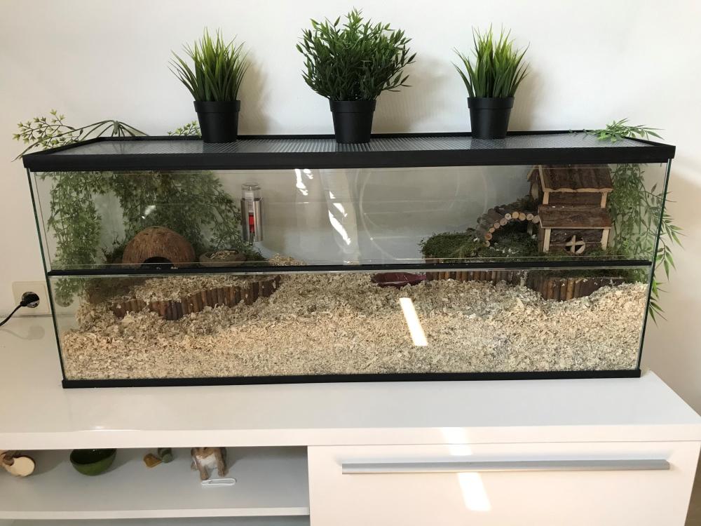 100x30x40 hamsterkooi met schuifruiten zonder plateaus