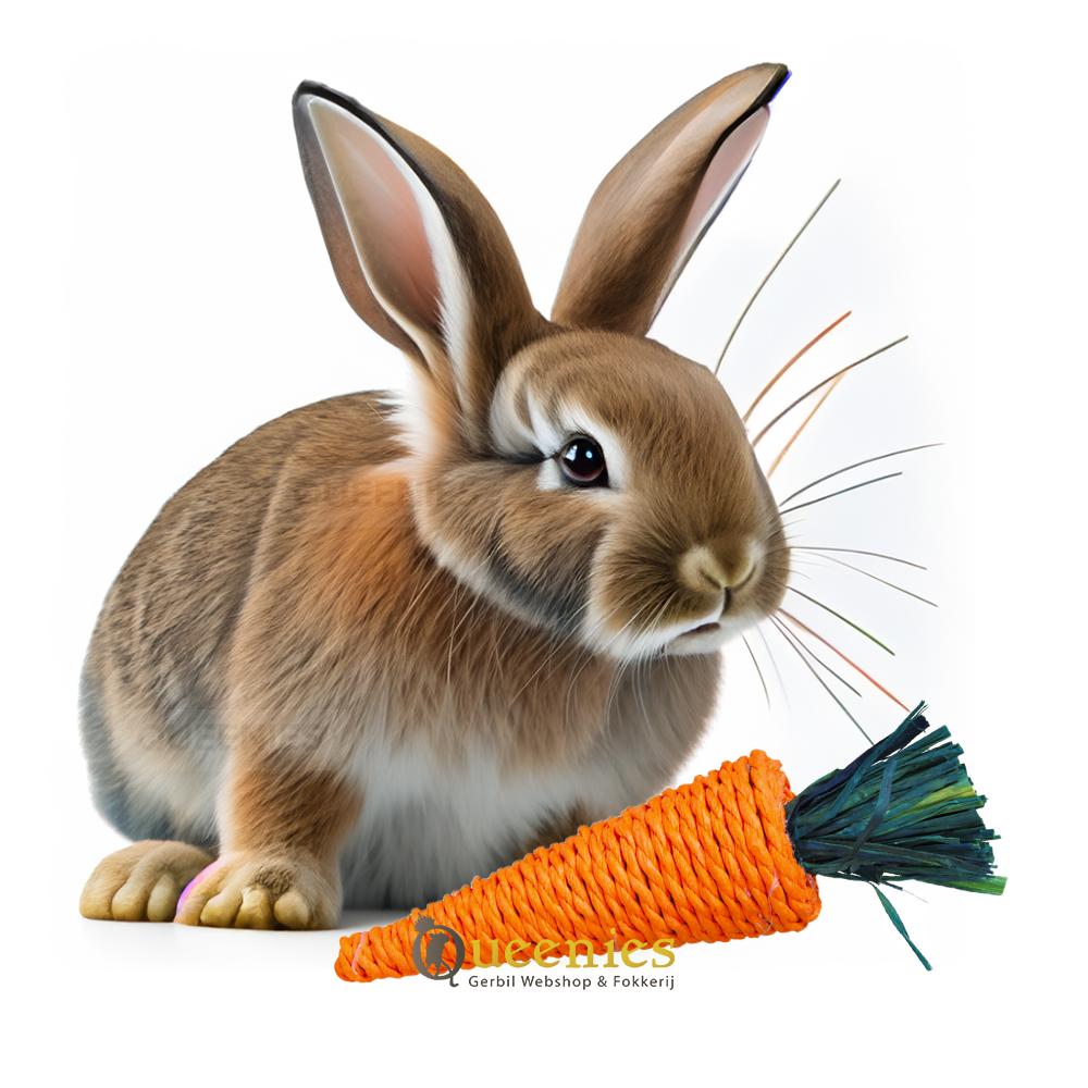 Konijnen speelgoed van wortel