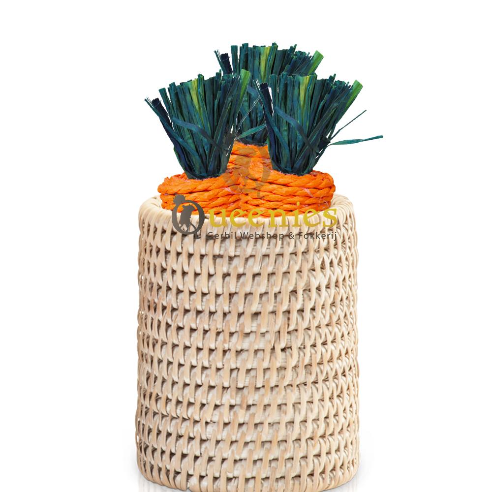 Wortelpakket voor Konijnen en Knaagdieren