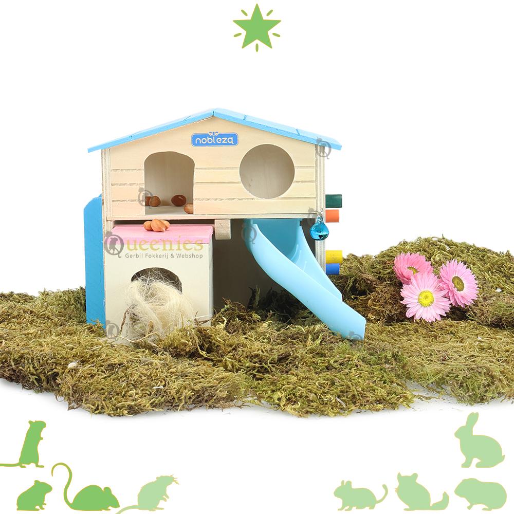 Hamsterspeelhuis met open ramen en glijbaan
