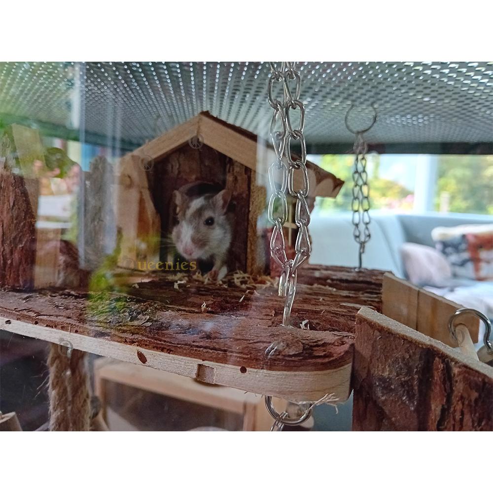 Klimtouw en ladder voor knaagdieren