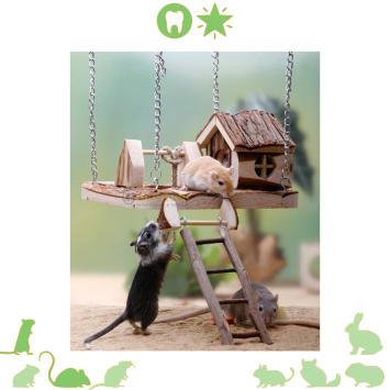 Speelplatform met hangende brug