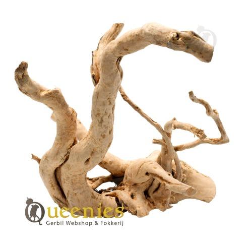 Spiderwood als knabbelhout voor Gerbils