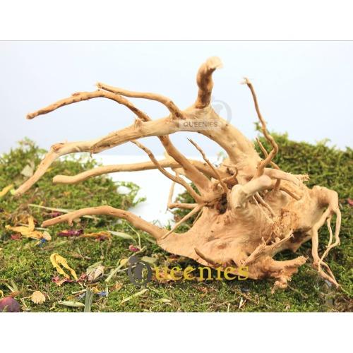 Spiderwood als knaaghout voor Degoes