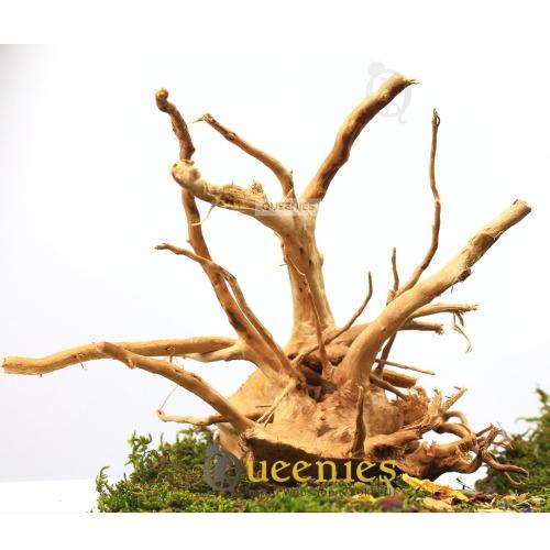 Spiderwood hout decoratie voor knaagdier