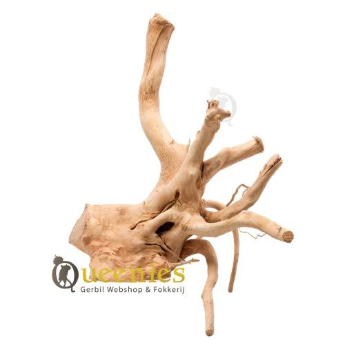 Spiderwood voor aquarium decoratie