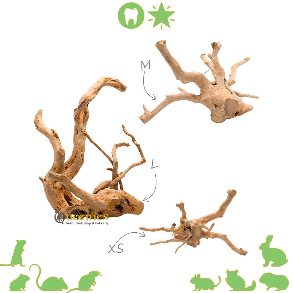 Spiderwood in hamsterscaping