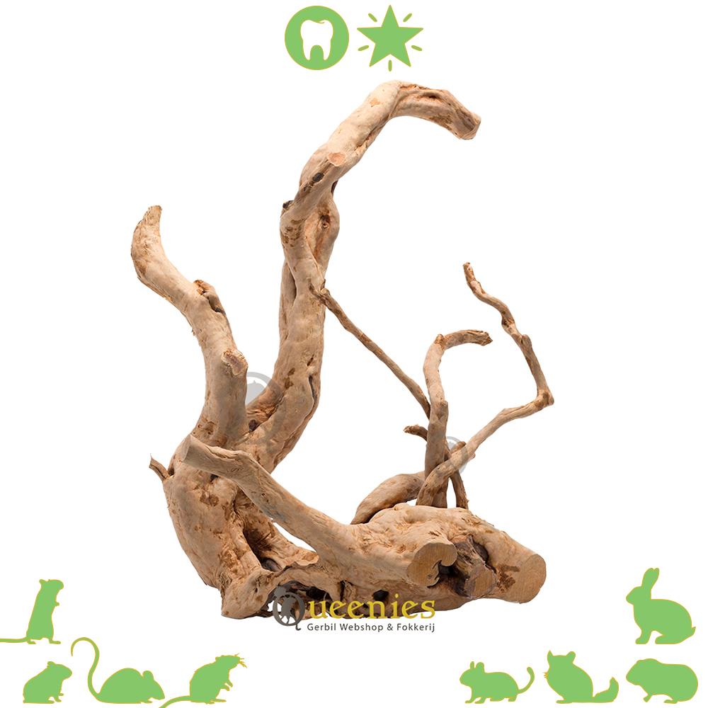 Spiderwood voor knaagdieren