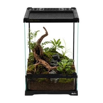 Glazen spinnen terrarium met openslaande deur