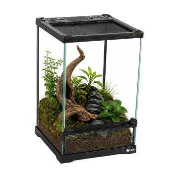Sprinkhanen terrarium mini 
