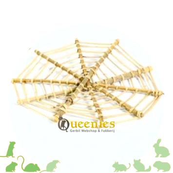 Spinnenrag voor Knaagdieren decoratie