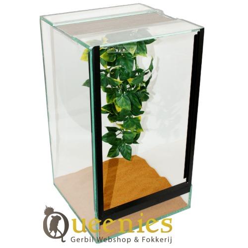 Spinnen of Insecten Terrarium 20x20x35