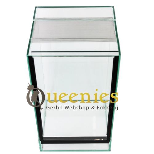 Spinnen terrarium van glas