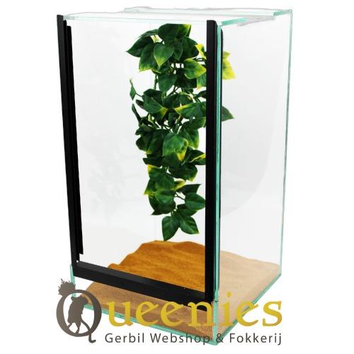 Huisvesting voor wandelende takken