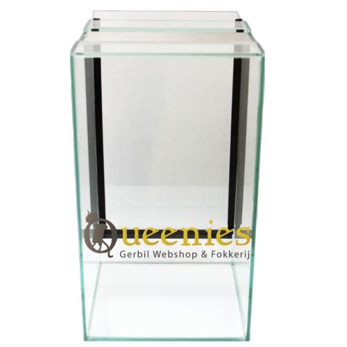 Mieren terrarium voor spinnen of wandelende takken