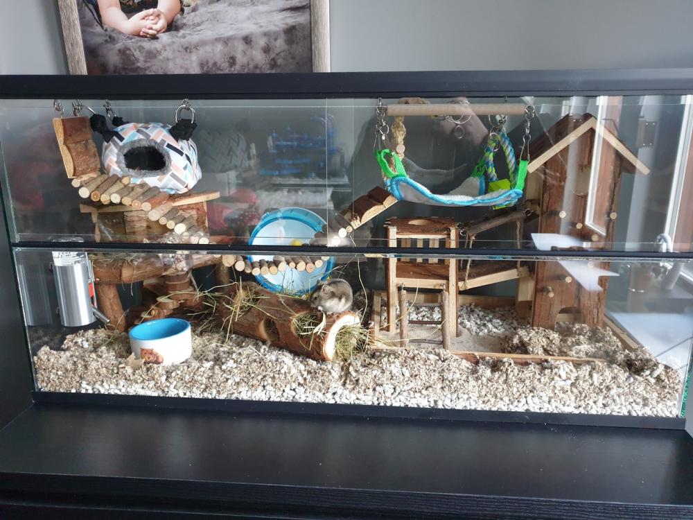 80x30x40 dwerghamster kooi met schuifruiten zonder plateaus