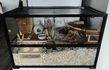 Glazen terrarium met afsluitbaar slot aan de voorzijde