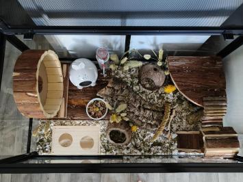 Compact gerbilarium voor hamsters en gerbils
